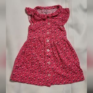 Carter's Baby Girl Pink Floral Casual Button Up Dress Size 9M GUC